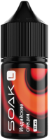 Жидкость для ЭСДН SOAK SALT 30мл 20мг Indian Spices/Индийские специи