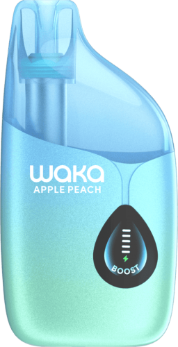 WAKA LIGHT DIVA 25000 Черника Малина Лимон