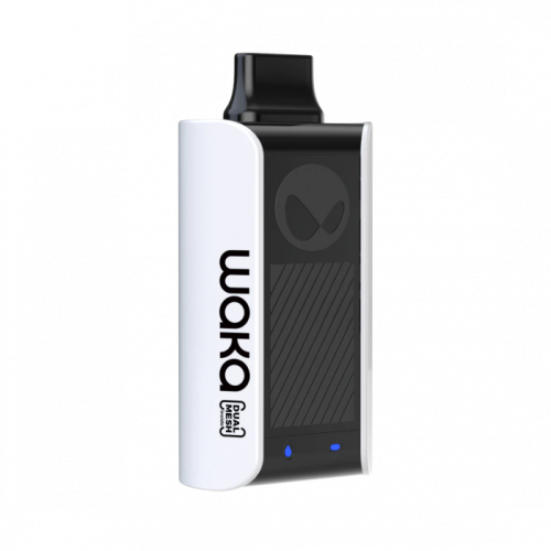 WAKA PRO PA10000 Дыня