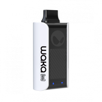 WAKA PRO PA10000 Арбуз со льдом